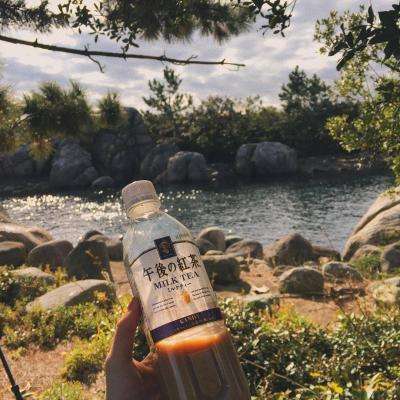 麻将胡了pg网页版APP下载